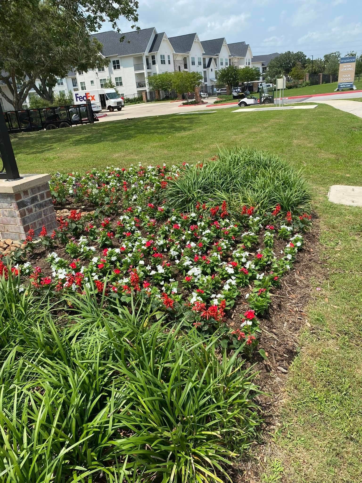 Flower bed with red and white flowers, green grass, and townhouses in the background.