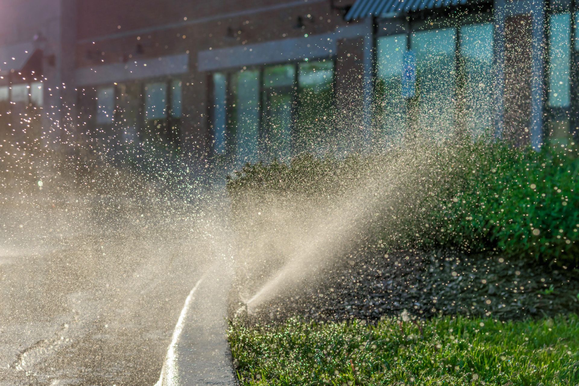 Sprinkler spraying water onto green grass, in front of a building with windows.