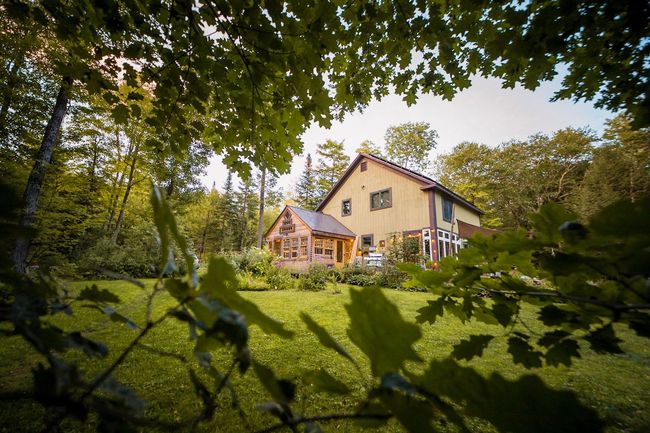 The Bedrock House, a yellow and brown house framed by tree branches