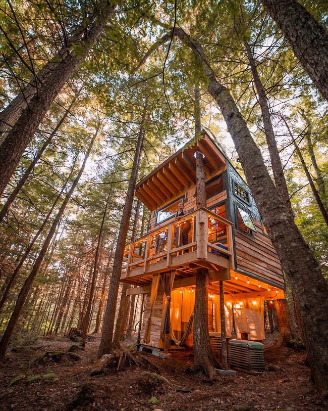 The Treehouse, light up with white lights in amongst the trees and snow