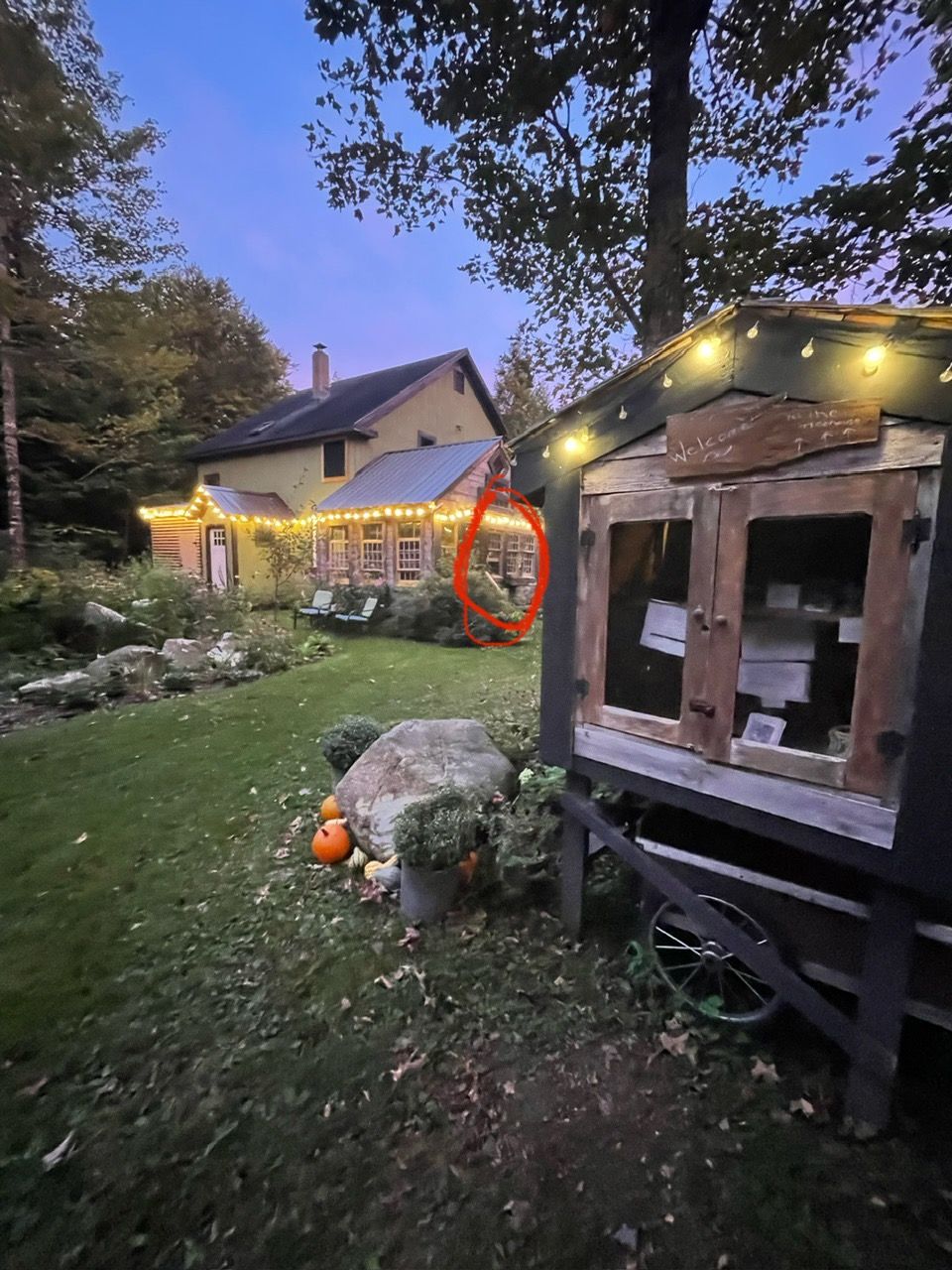 Yellow house with string lights and a small wooden structure with a pumpkin on the lawn.
