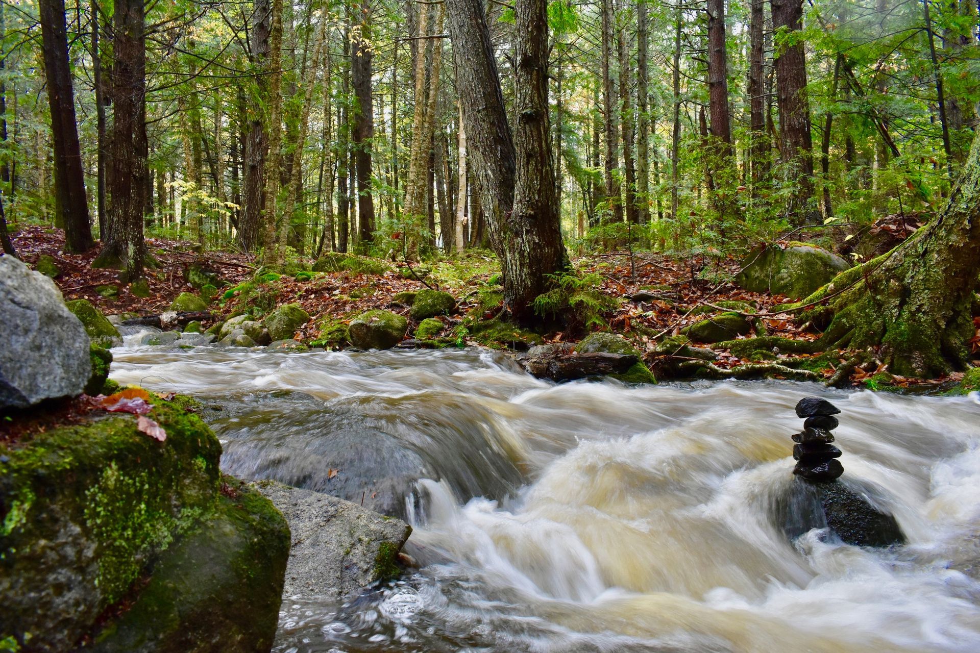 A group of friends roast marshmallows in winter with Stone City Treehouse lit up in the background