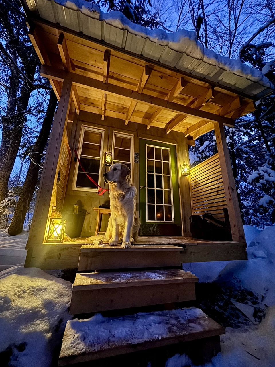 A dog sitting on the steps to the sauna building