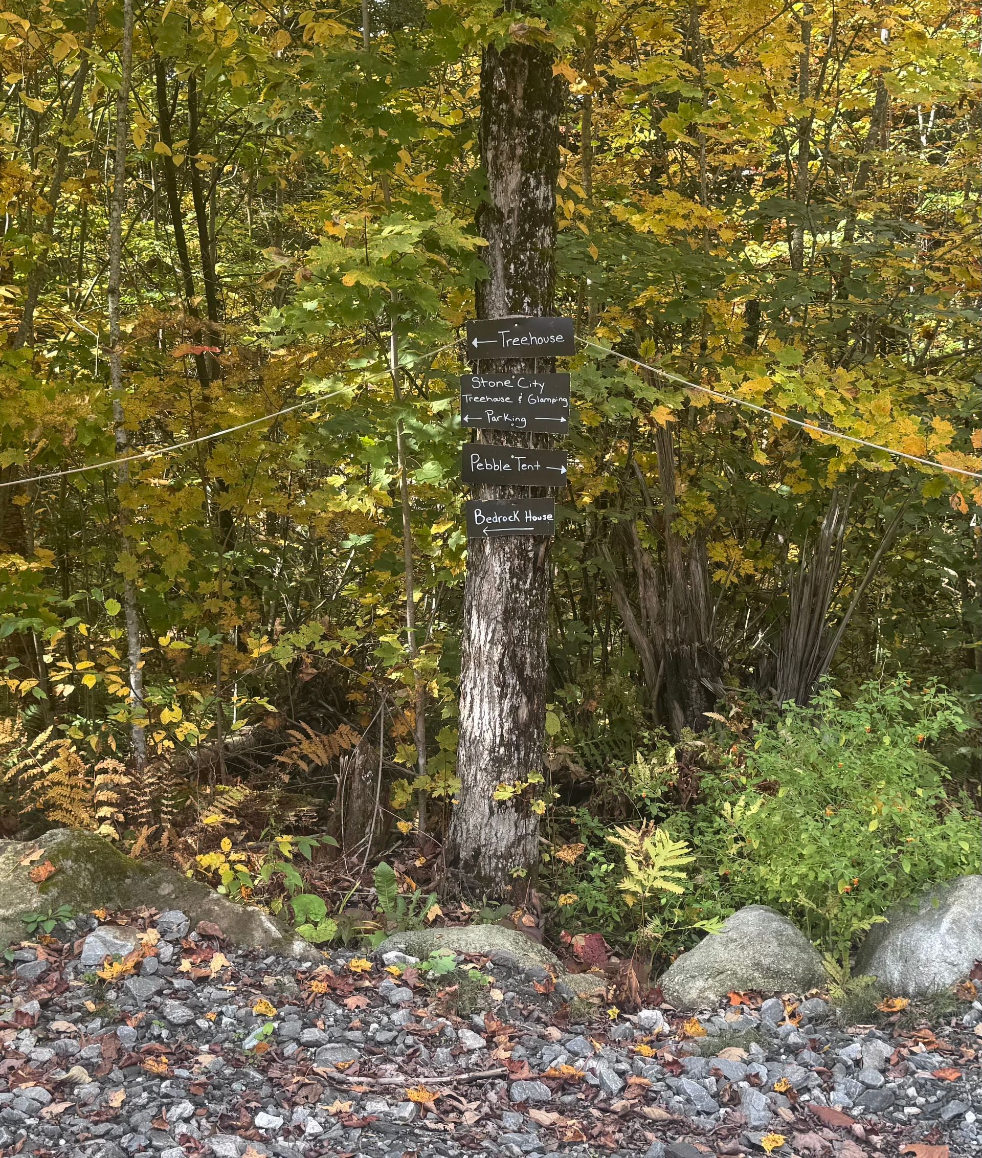 Signpost attached to a tree, with obscured white text, in a wooded area with fall foliage.