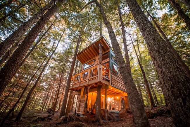 The Treehouse, light up with white lights in amongst the trees