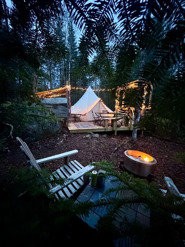 The Pebble Tent site - a canvas bell tent on a wooden platform with flowers and a table.