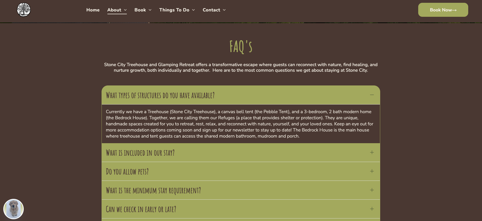 FAQ page on Stone City Treehouse & Glamping's new website!