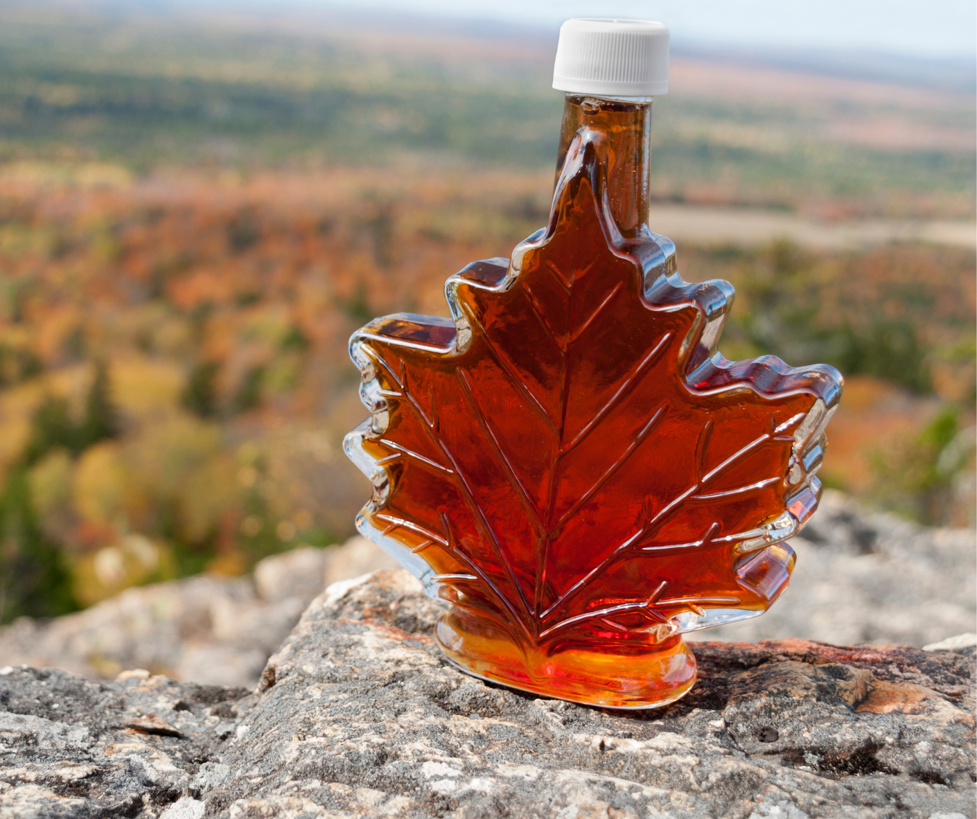 Vermont maple syrup in a glass maple leaf jar