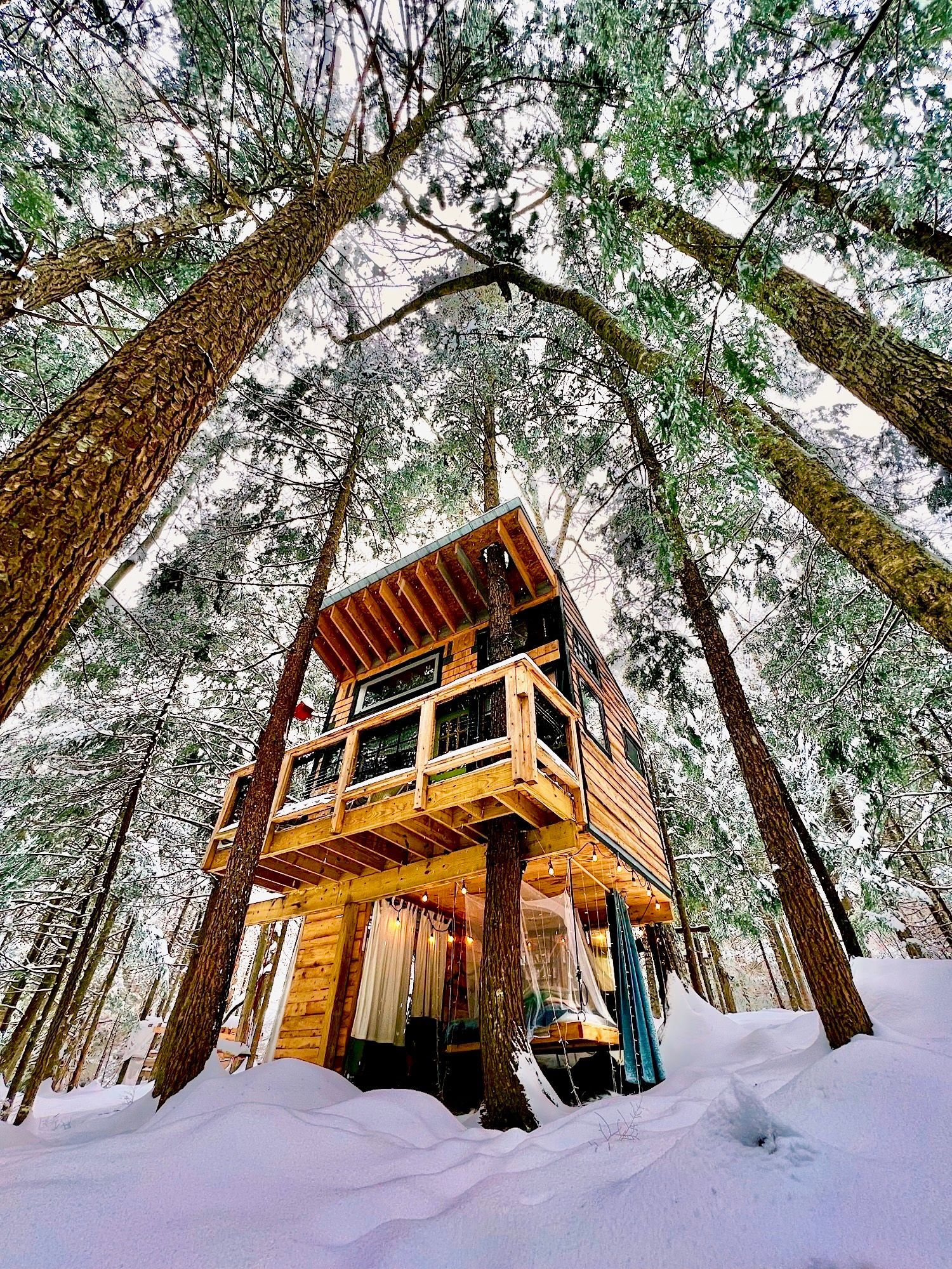The Treehouse, light up with white lights in amongst the trees and snow
