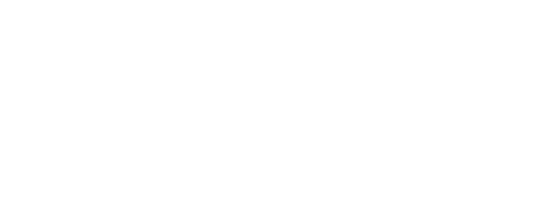 Yankee logo