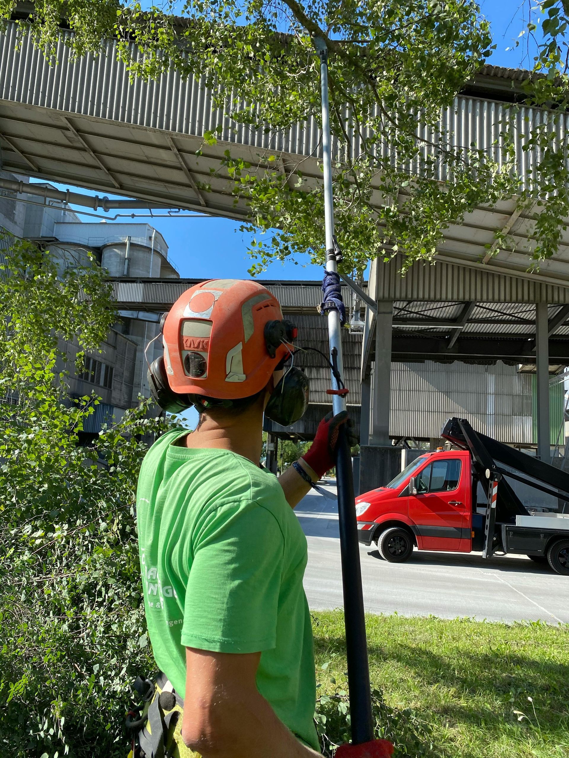 Man pruning tree branches with long-handled shears outdoors.