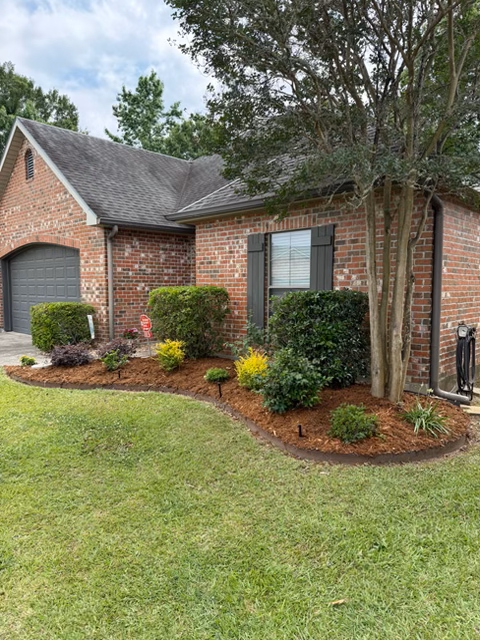 Finished landscaping project featuring new shrubs, clean beds, and a polished front yard in Lafayette, LA.