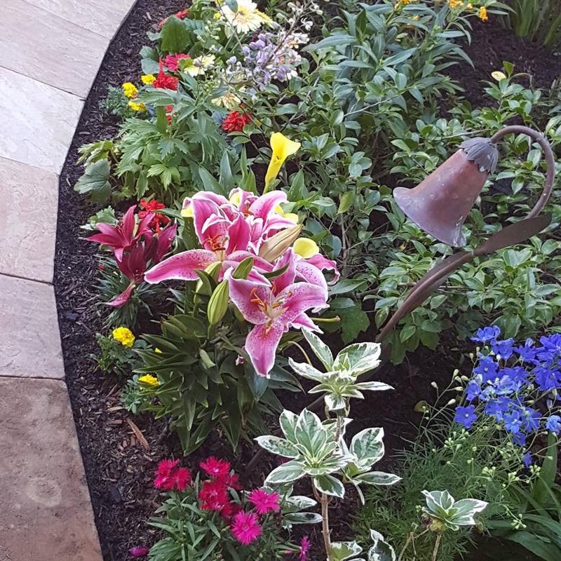 Seasonal Annual Color Installation