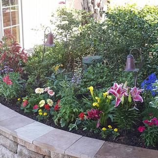 Seasonal Annual Color Installation