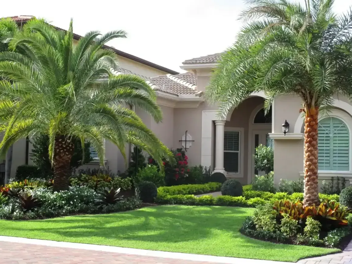 Landscaped a house with a manicured lawn, palm trees.