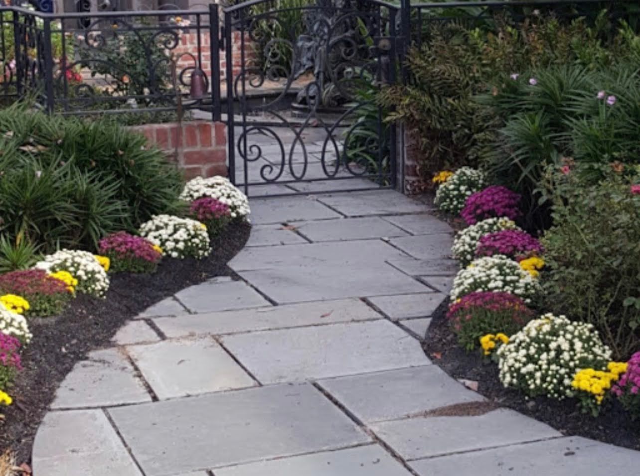 Stone path leads to a wrought iron gate, flanked by flowerbeds with colorful mums.