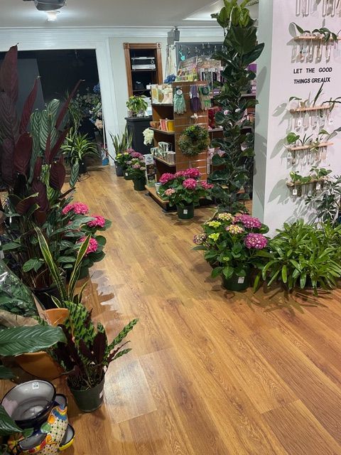 Live cutting wall with fresh floral stems, interior houseplants, and the welcoming register area at Beau Monde Nursery 