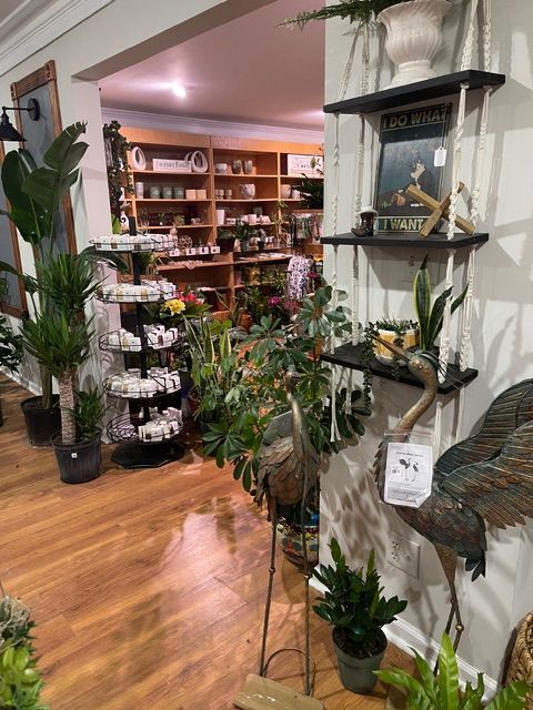 Pottery wall with decorative planters, specialty gifts, and home décor items at Beau Monde Nursery 