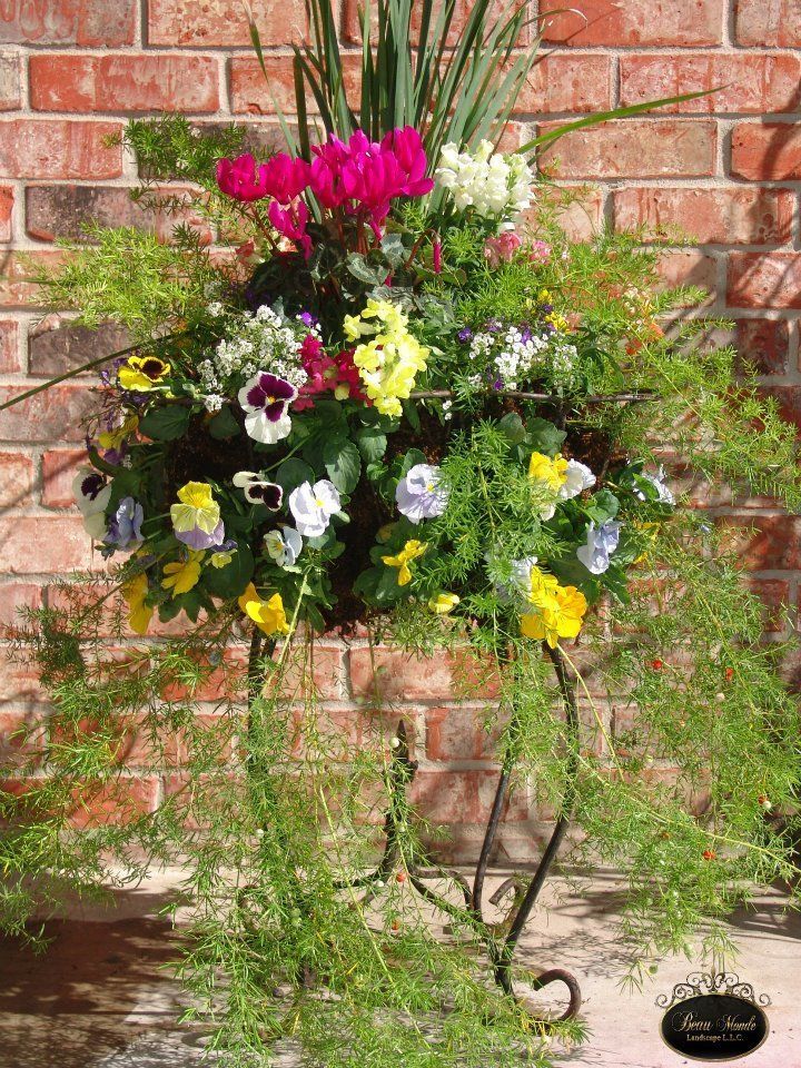 Wrought Iron Planting