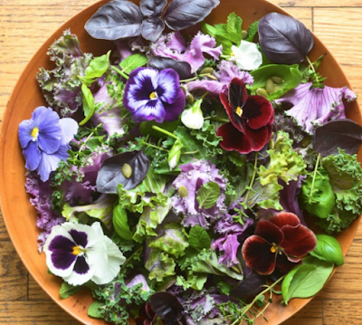 Edible Pansies in Salad Edible Pansies in Salad