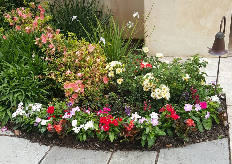 Seasonal Color Change