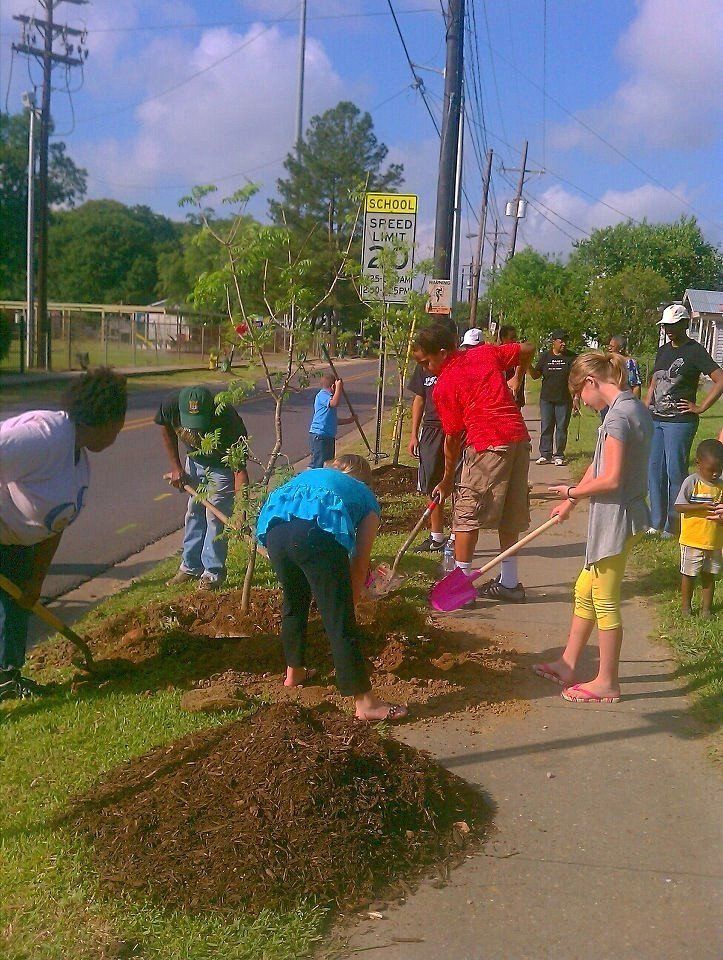 Beautify Lafayette Project