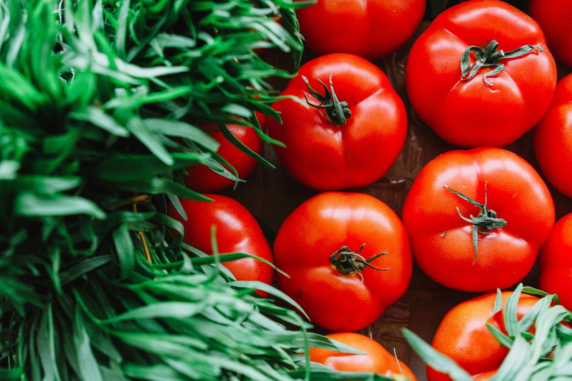 Red tomatoes and green herbs arranged on a wooden surface.