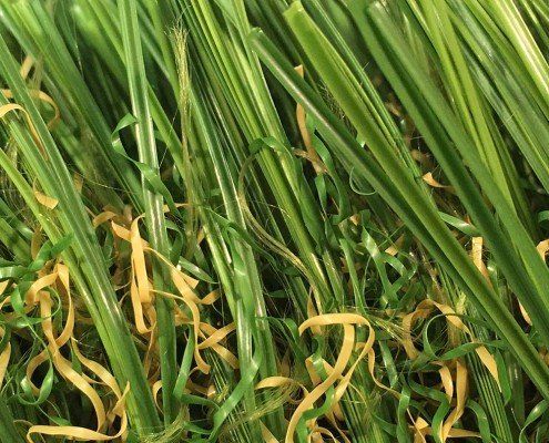 Sierra Pro Artificial Grass