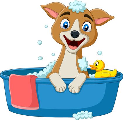 Little Dog Bathing in The Basin — Bloomington, IL —Top Dog Grooming Salon