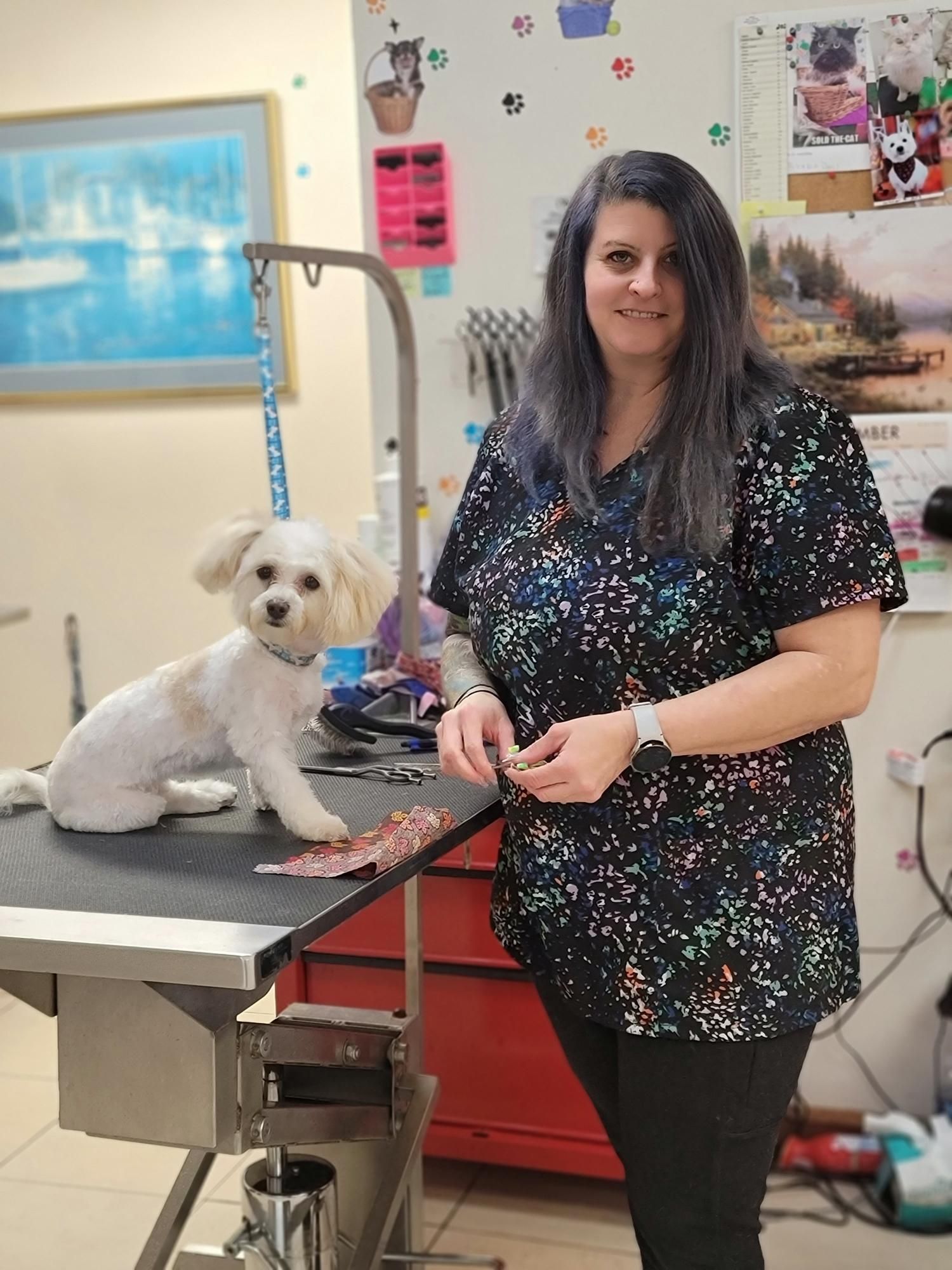 New Collen - Bloomington, IL - Top Dog Grooming Salon