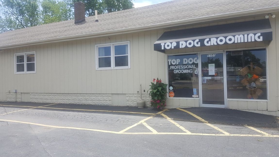 Quality Pet Grooming — Top Dog Grooming Store front in Bloomington, IL