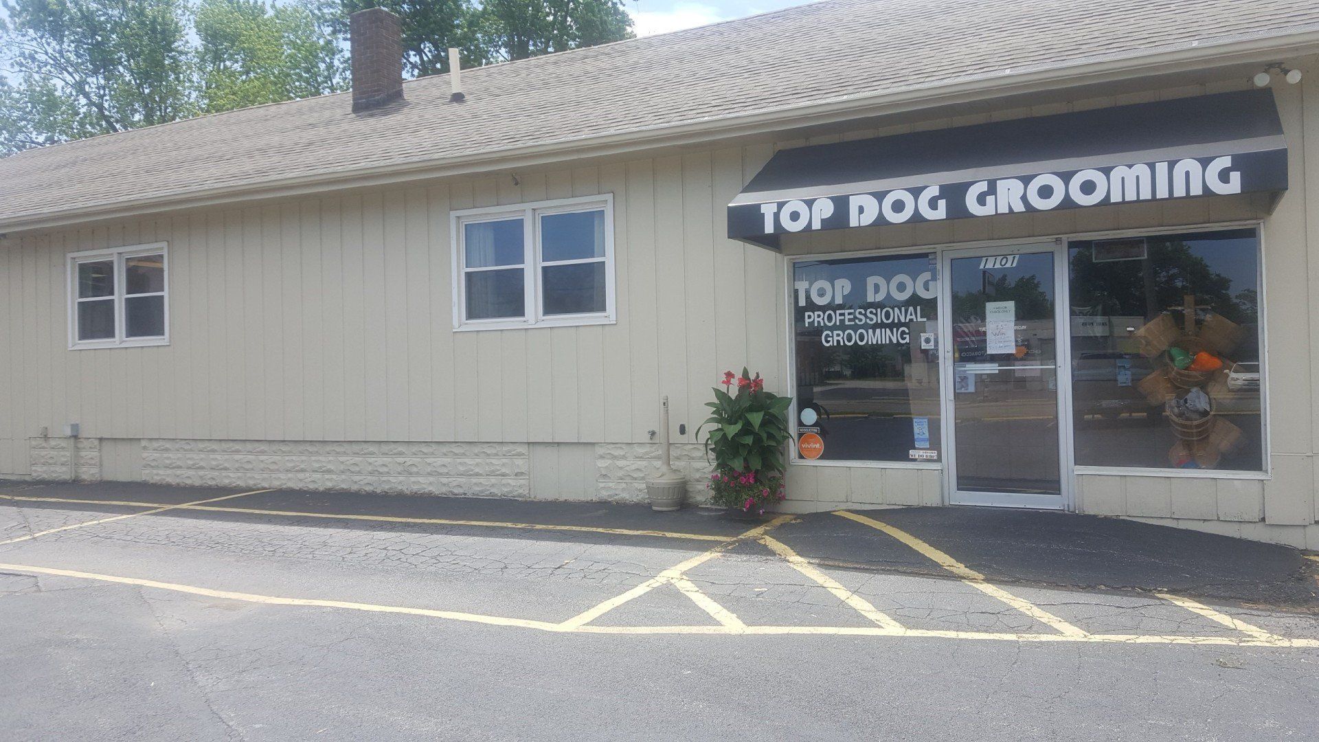 Groomers Bloomington, IL Top Dog Grooming Salon