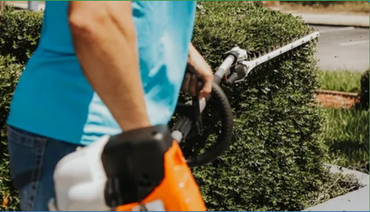 Crystal Cut Lawn Care employee using a hedge trimmer to shape bushes in yard.