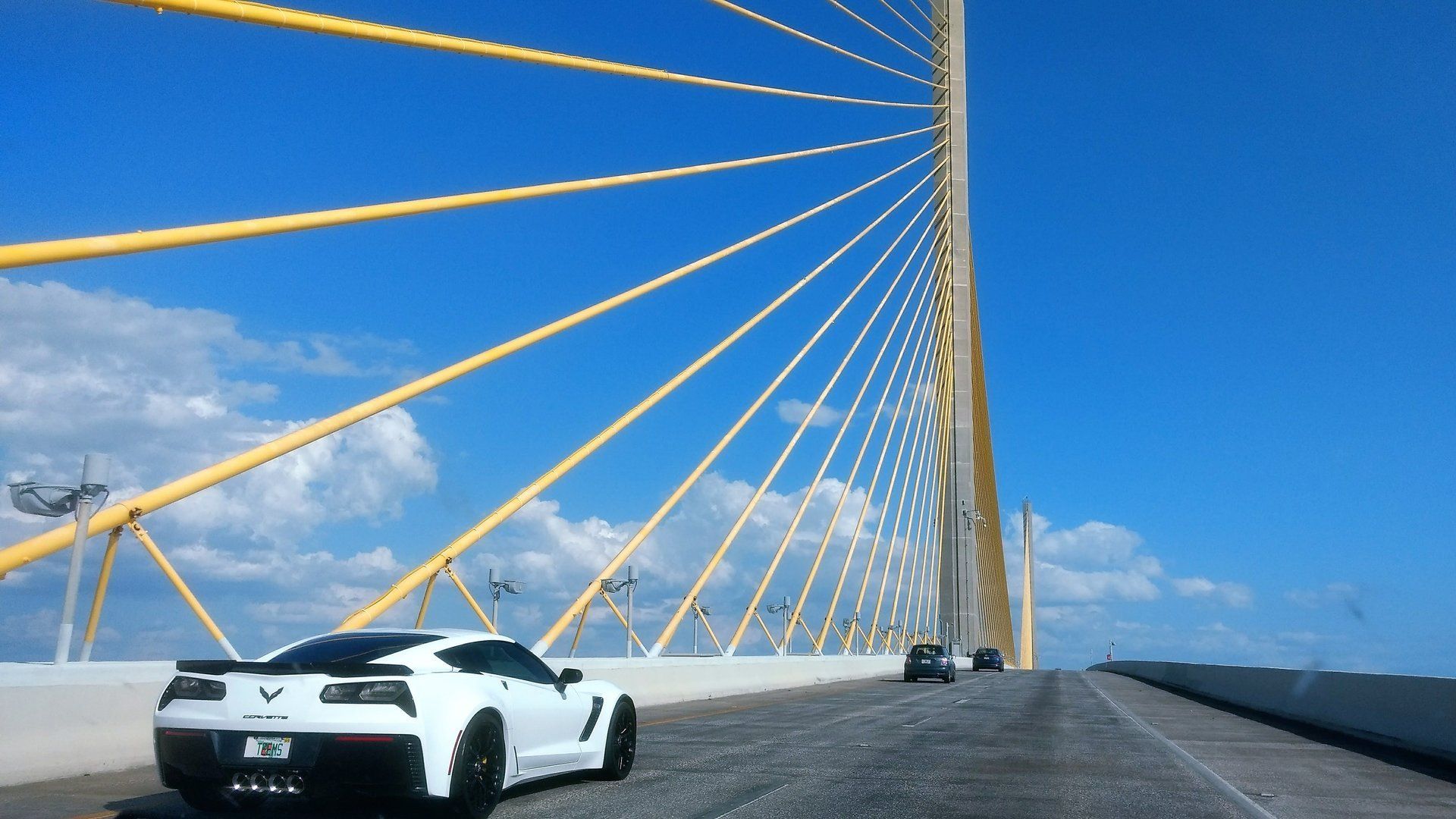 Villa Lion's Garden - Sunshine Skyway Bridge