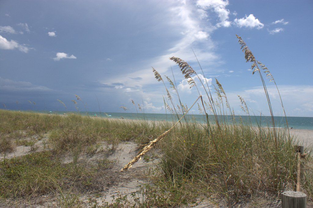 Villa Lion's Garden - Turtle Beach