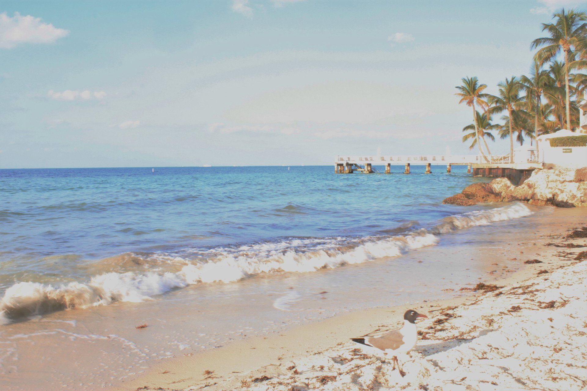 Villa Lion's Garden - Key West