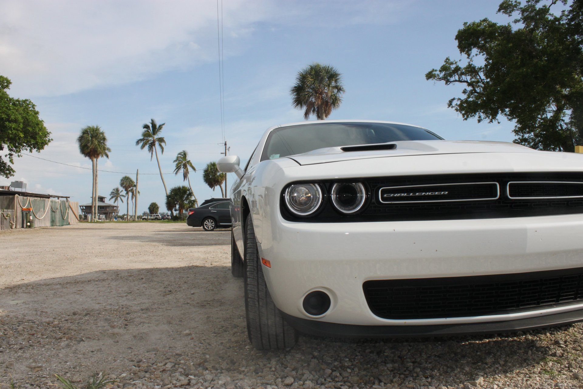 Villa Lion's Garden - Dodge Challenger