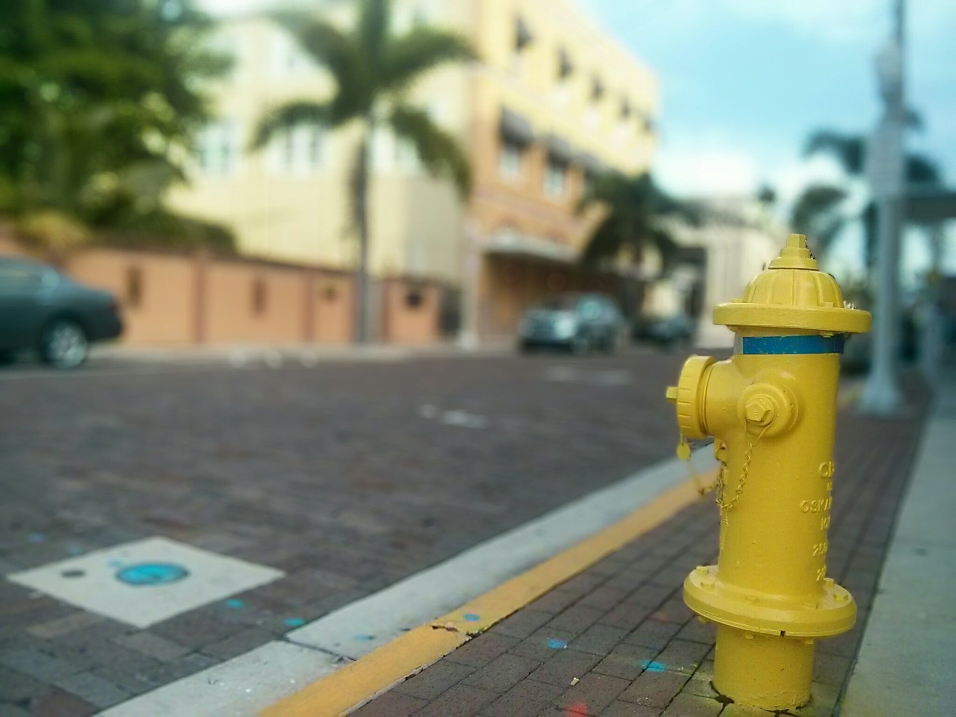 Villa Lion's Garden - Fort Myers