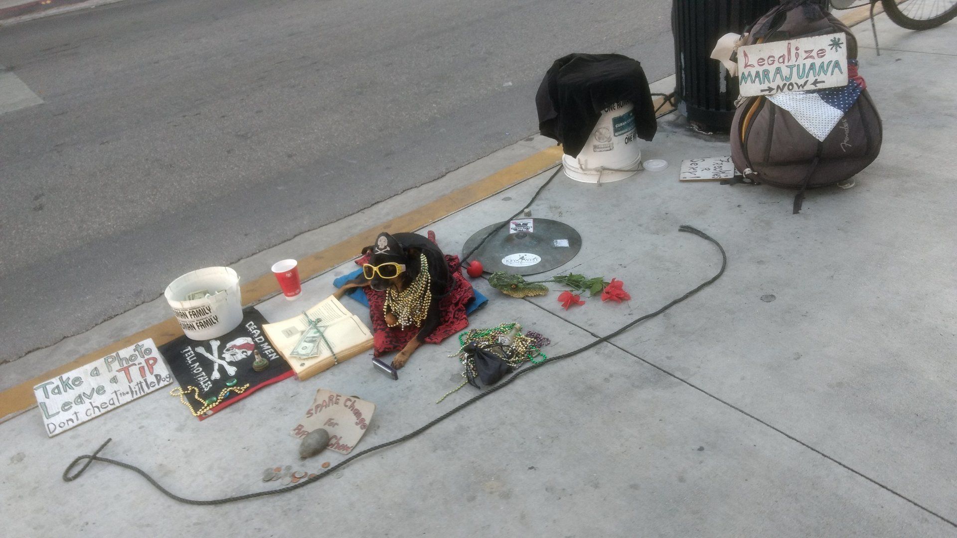 Villa Lion's Garden - Key West Duval Street