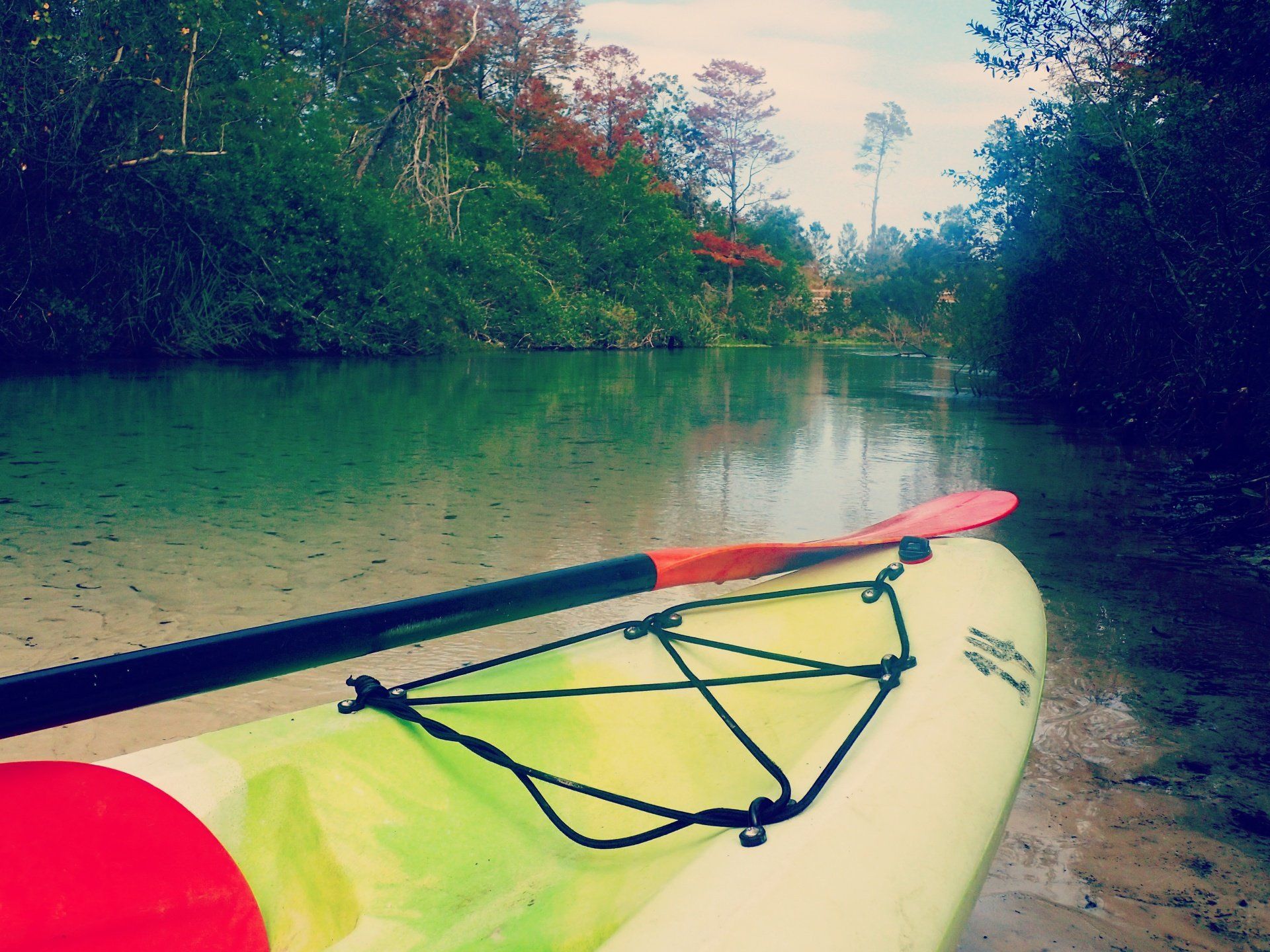 Villa Lion's Garden - Kayak Paddling at Weeki Wachee Springs