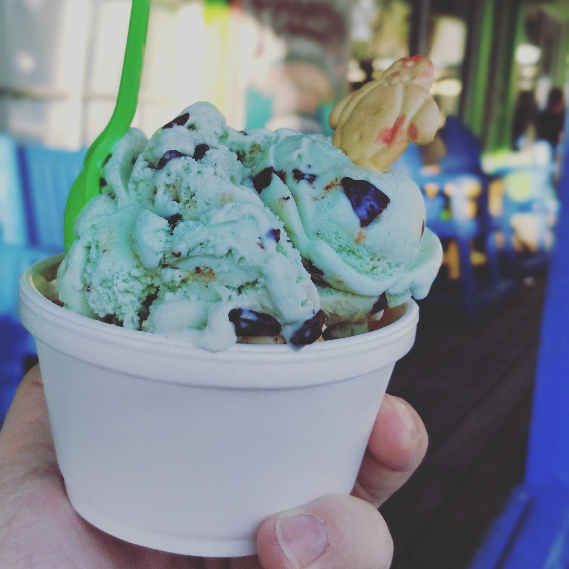 Villa Lion's Garden - Pinocchio's Original Italian Ice Cream