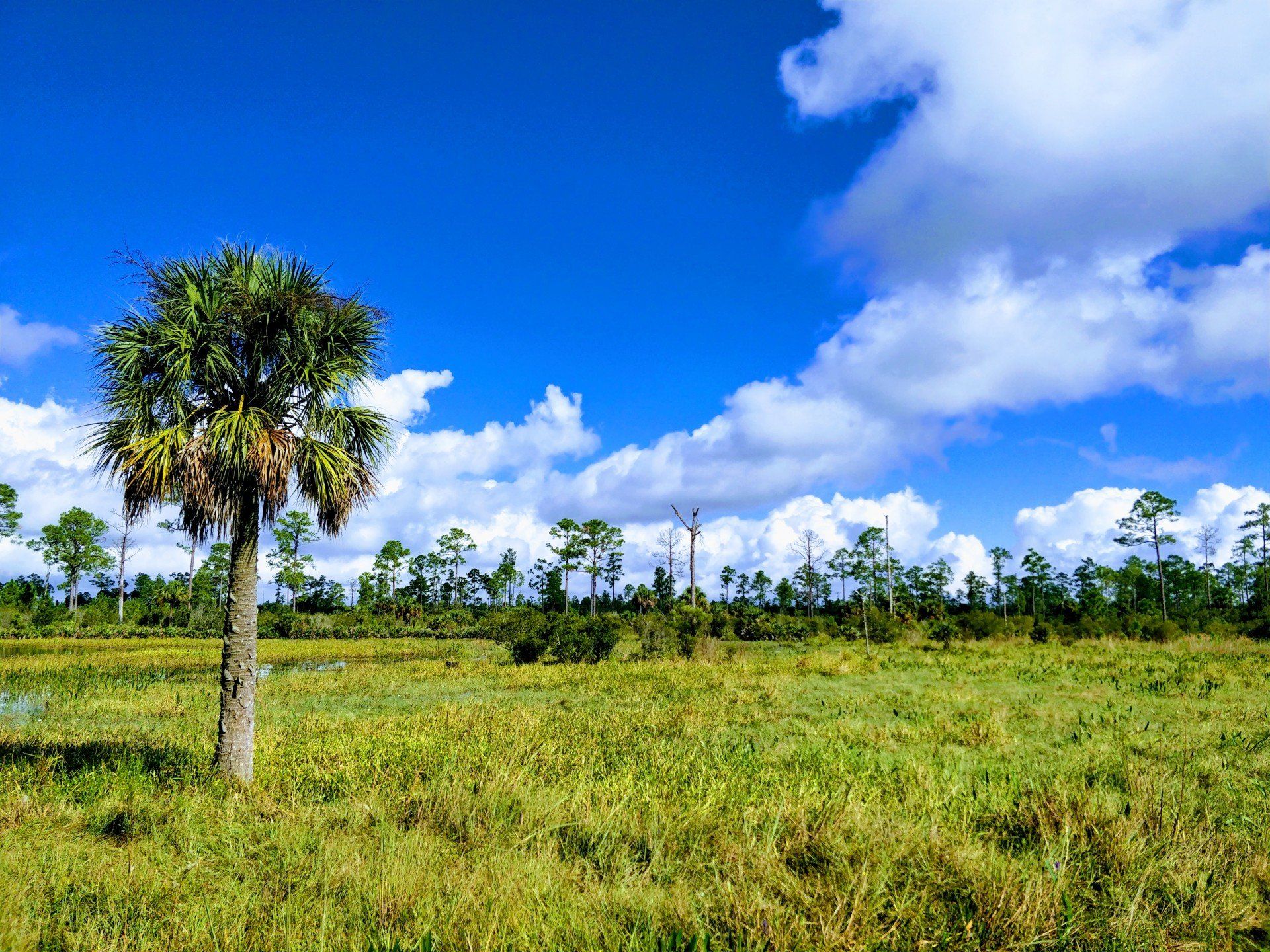 Villa Lion's Garden - Babcock Ranch Eco Tours