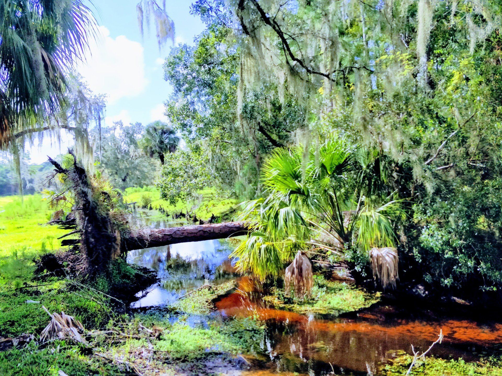 Villa Lion's Garden - Babcock Ranch Eco Tours