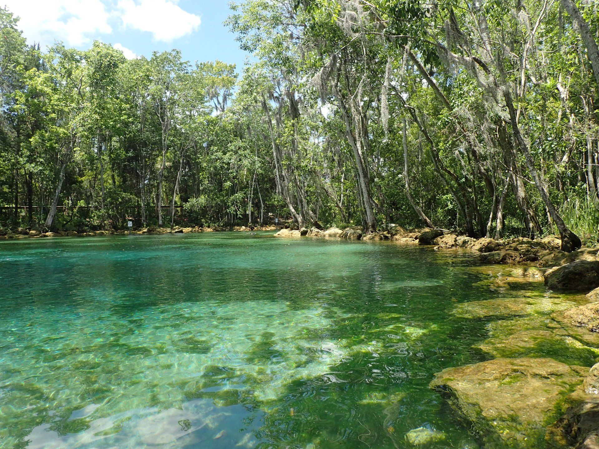 Villa Lion's Garden - Three Sisters Springs, Crystal River