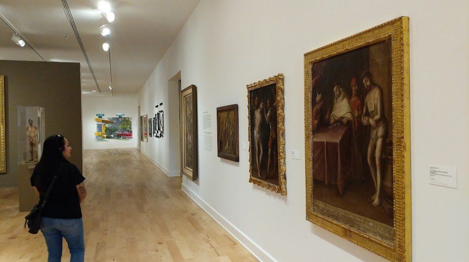 Auto Glass El Paso TX Windshield Replacement El Paso (Top Rated)