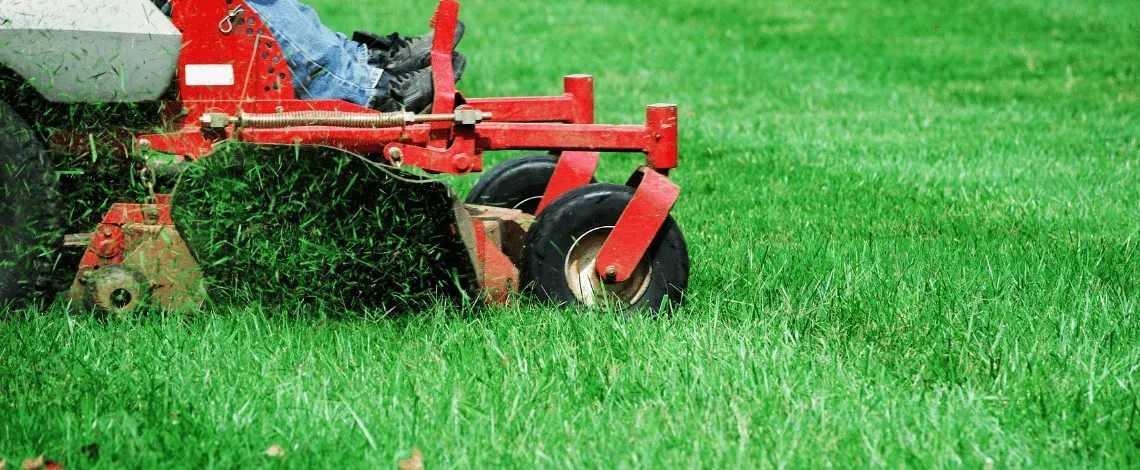 Lawn Mowing & Grass Cutting Services in York, PA: What Homeowners Should Expect from a Real Professional