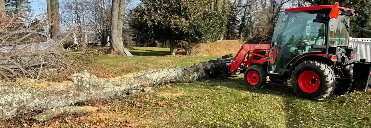 Professional tree services in Spring Grove PA including tree removal, trimming, and safe, well-maintained landscapes