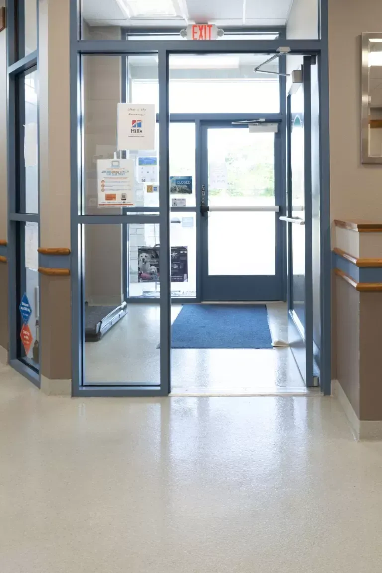 Enhanced Protective Layer | Sydney, NSW | Sydney Seal Masters