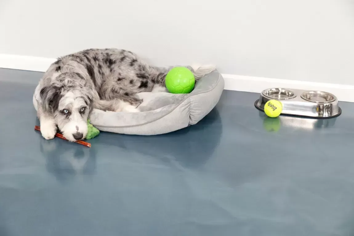 Home Epoxy Protective Coatings | Sydney, NSW | Sydney Seal Masters