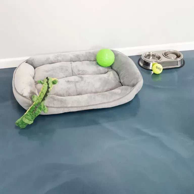 Home Polyurea Spray Remedial Waterproofing | Sydney, NSW | Sydney Seal Masters